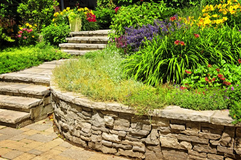 Stone Hardscape Service in Georgetown, TX
