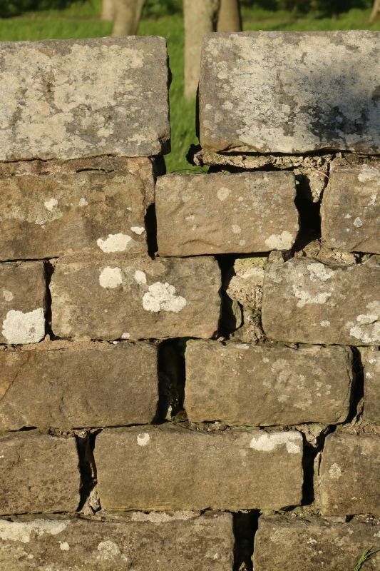 Stone Wall Repair in Pflugerville, TX